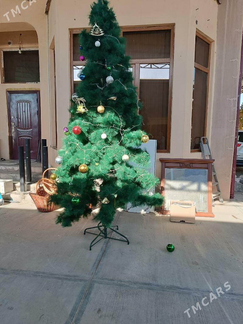 е́лка - Çoganly - img 2