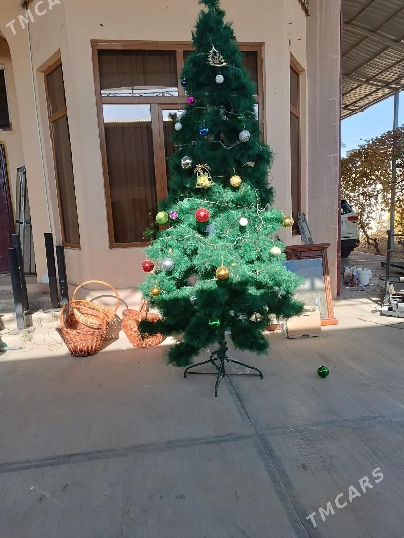 е́лка - Çoganly - img 3