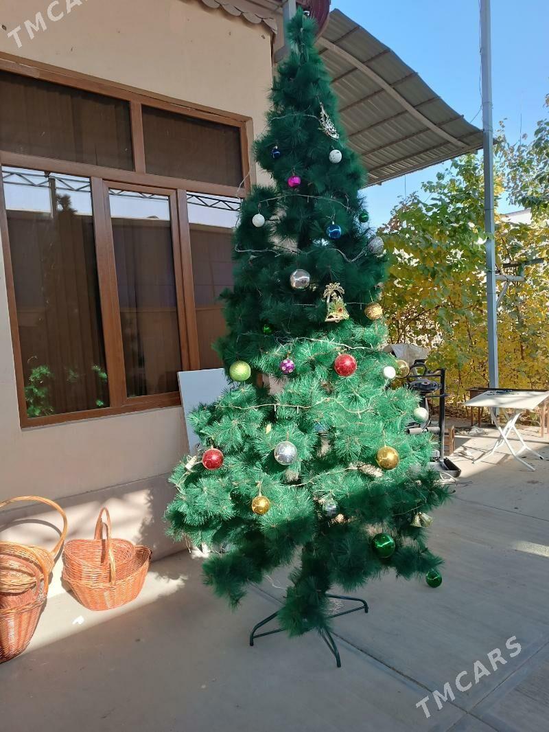 е́лка - Çoganly - img 5