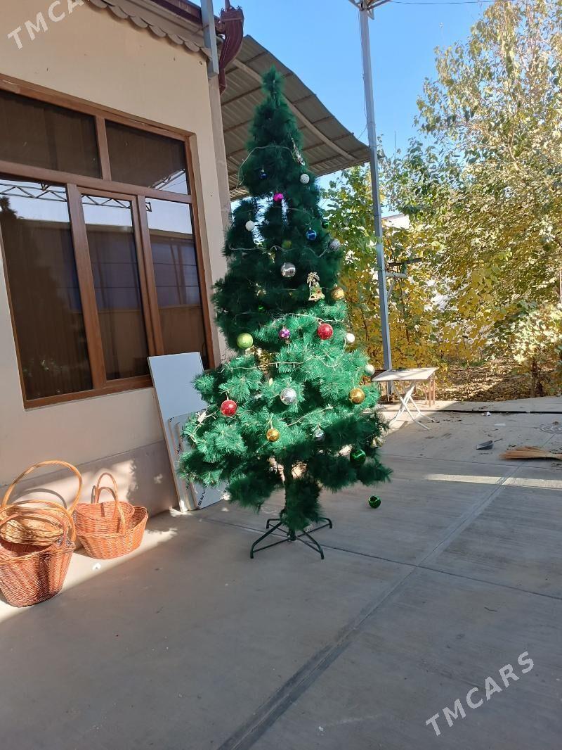 е́лка - Çoganly - img 6