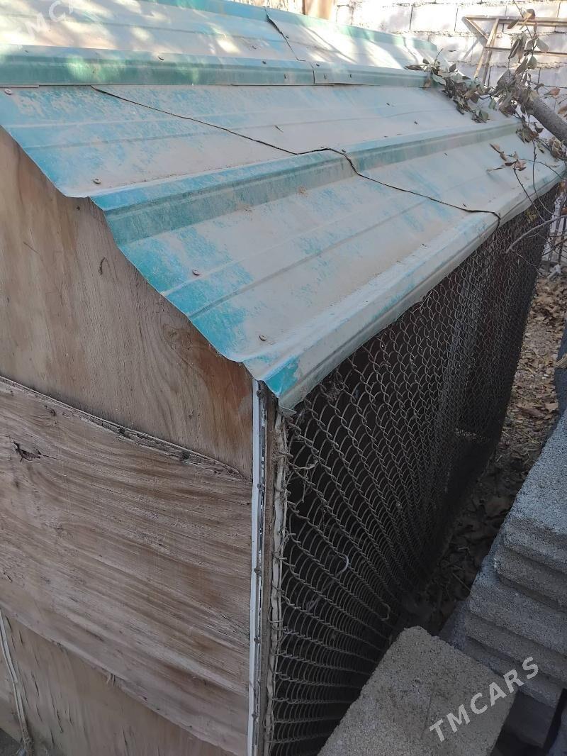 towuk ÿatak - Aşgabat - img 2