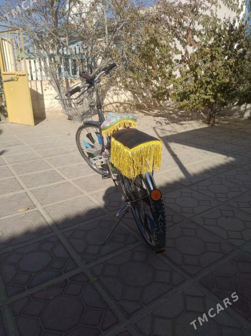 Velik - Gumdag - img 3