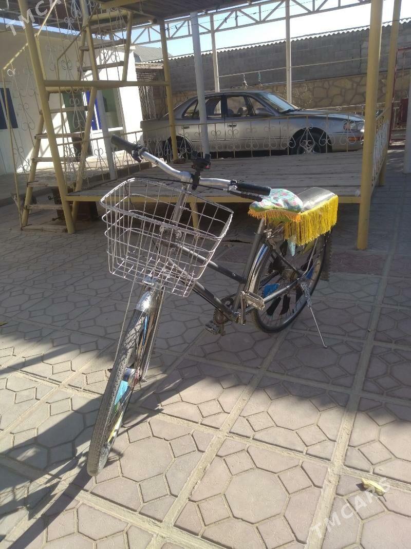 Velik - Gumdag - img 4