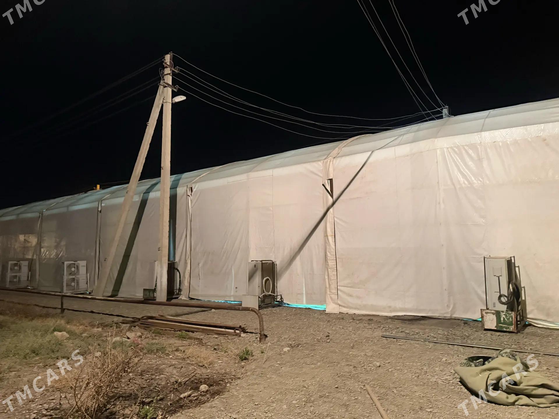 Gocme  palatka - Bäherden - img 5