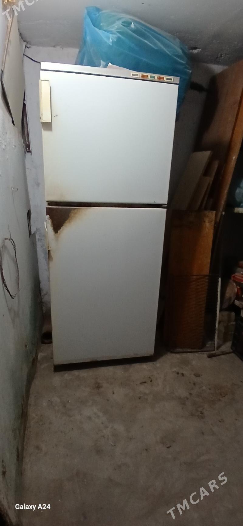 Holodinik Бюрюса Orsynky - Mary - img 2