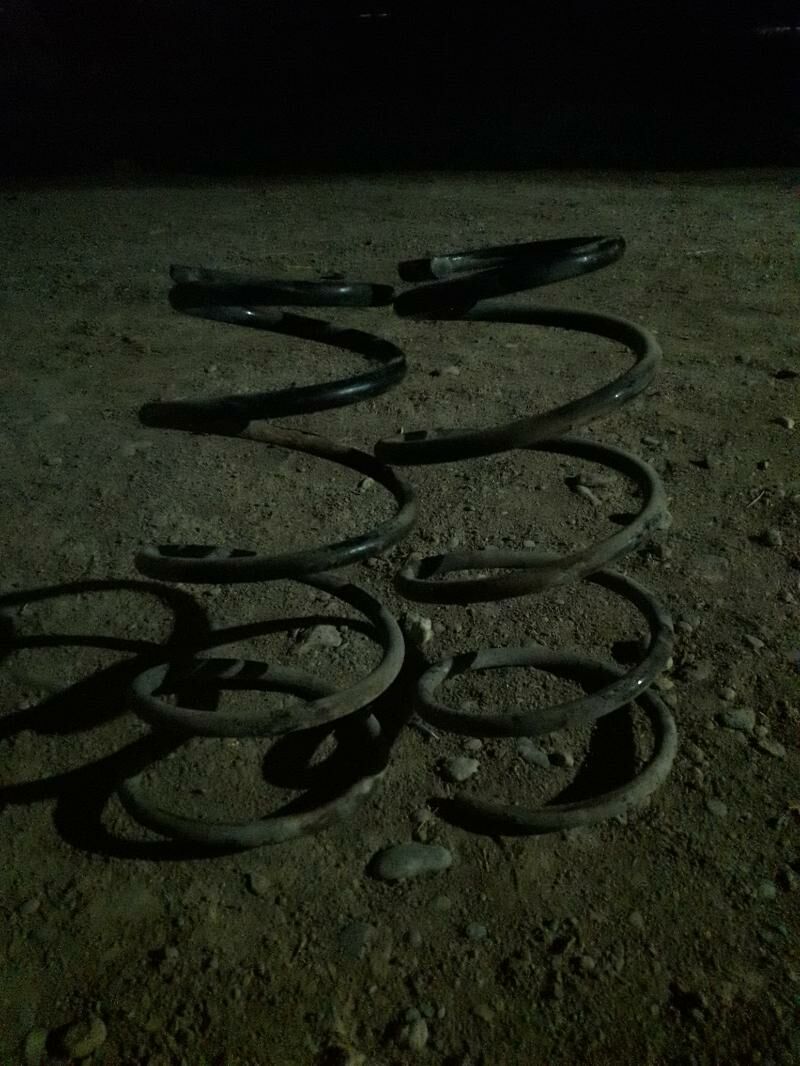 Pürjün babçga 70 TMT - Теджен - img 2