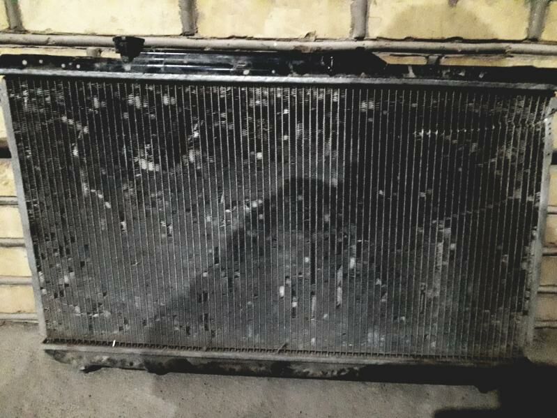 Pürjün babçga 70 TMT - Теджен - img 3