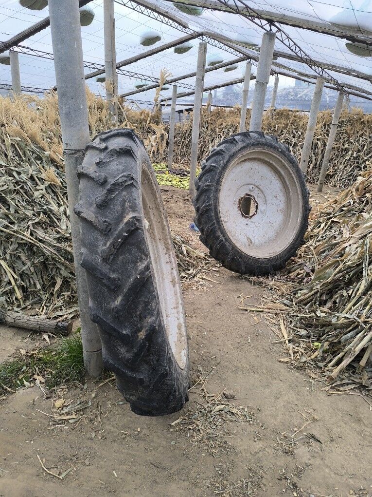 MTZ 80 2014 - 300 000 TMT - Ашхабад - img 6