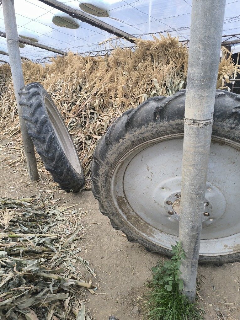 MTZ 80 2014 - 300 000 TMT - Ашхабад - img 5