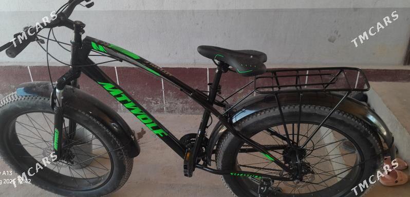 welsopet - Murgap - img 2