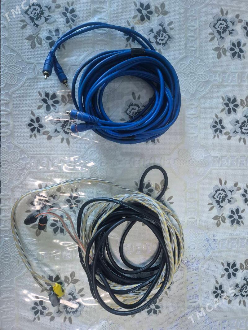 tulpan - Aşgabat - img 2