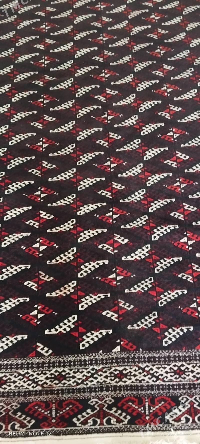 haly - Балканабат - img 3