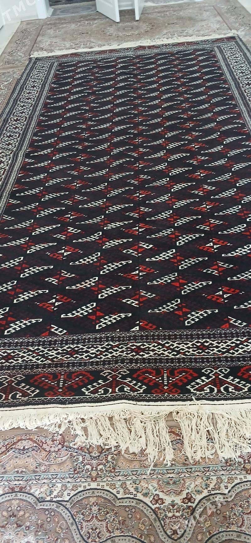 haly - Балканабат - img 4