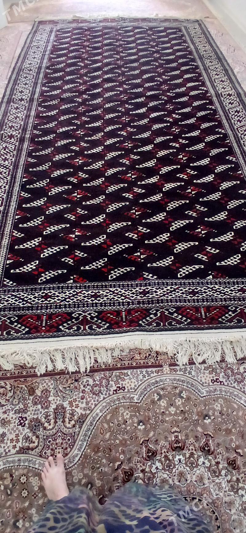 haly - Балканабат - img 1