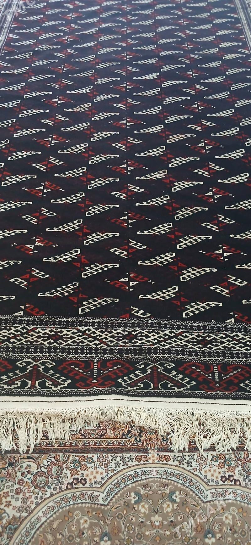 haly - Балканабат - img 3