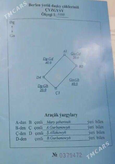 ️MUXAD MELEK️ - Mary - img 4