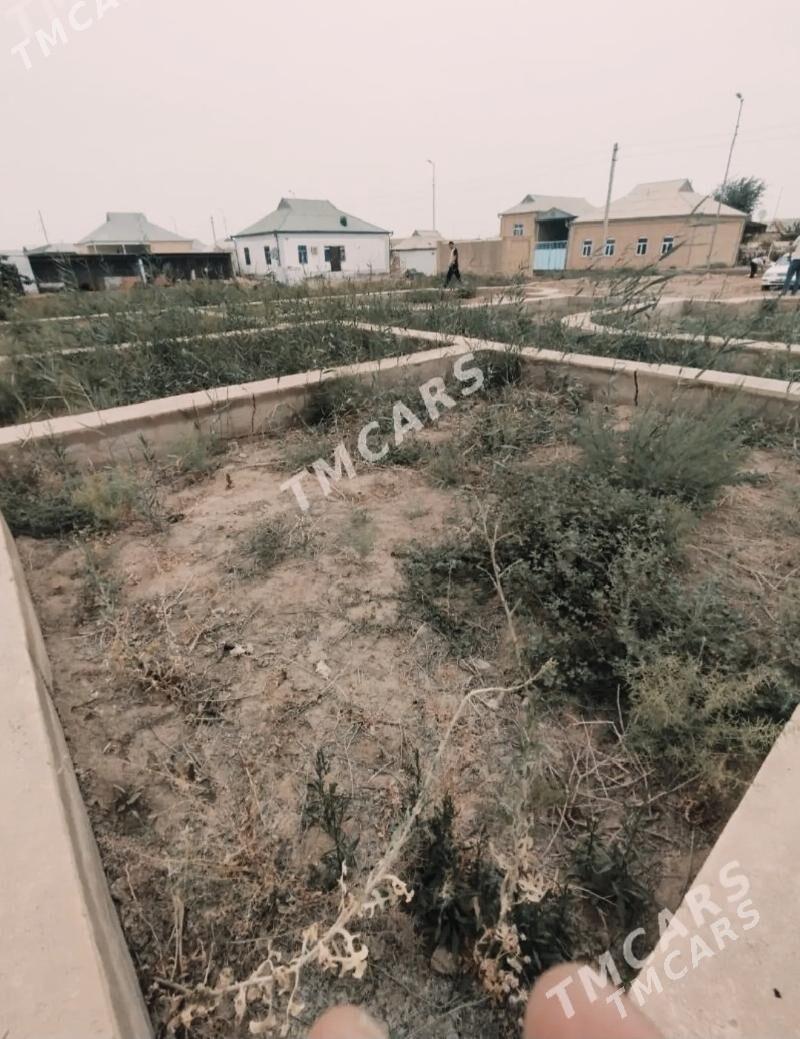 ️MUXAD MELEK️ - Mary - img 3