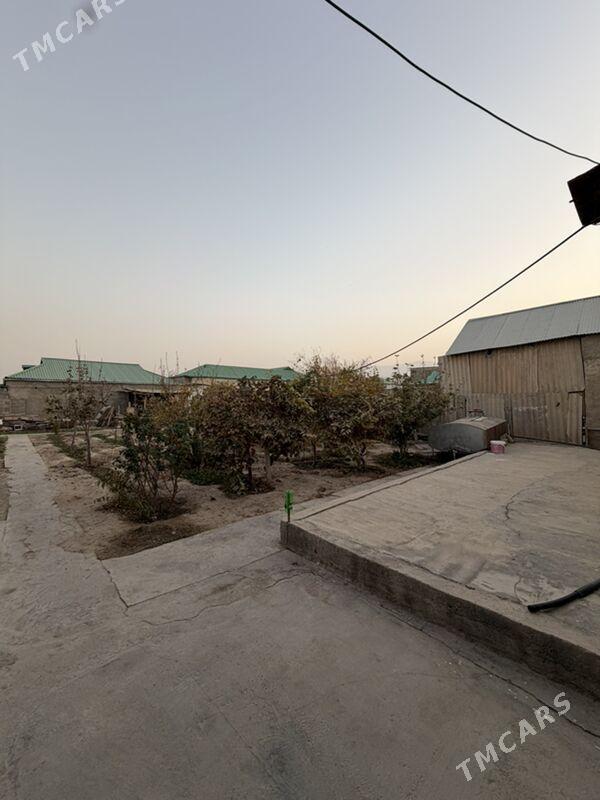 Bagyr Mirewe - Aşgabat - img 2