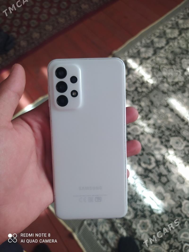 A23 TP - Mary - img 1