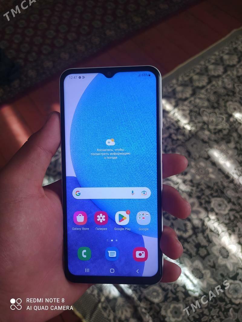 A23 TP - Mary - img 2