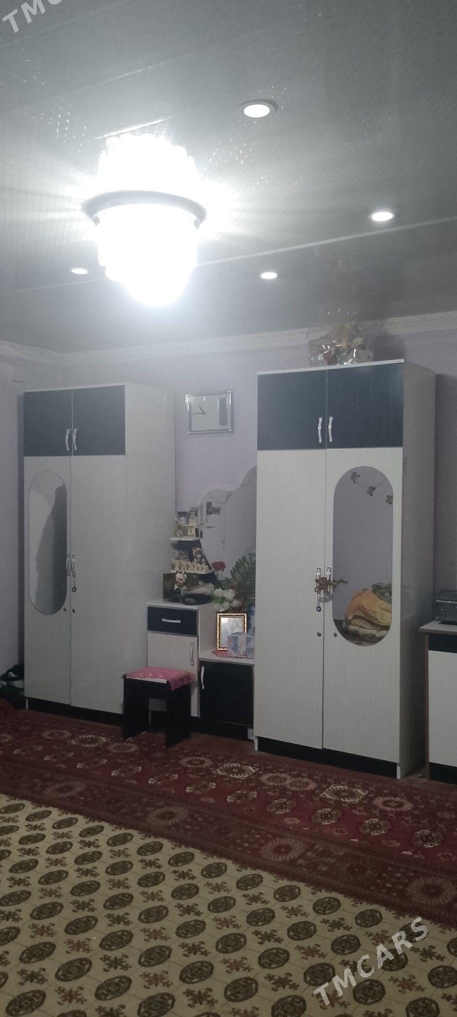 Satlyk jay - Mary - img 2