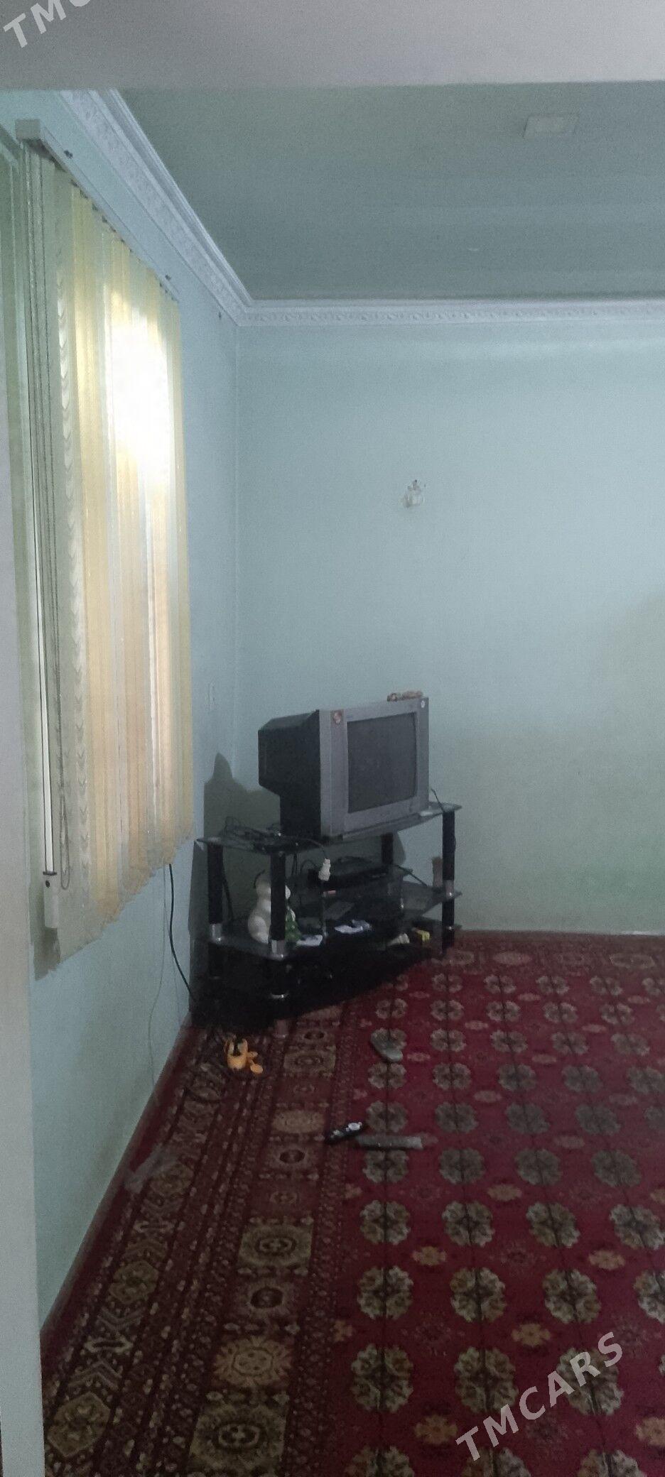 Satlyk jay - Mary - img 3