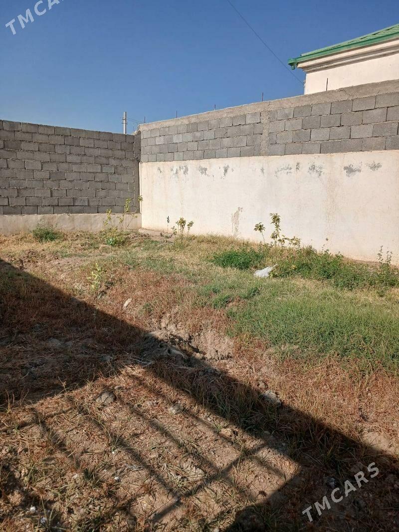 Limon sitil - Gökdepe - img 3