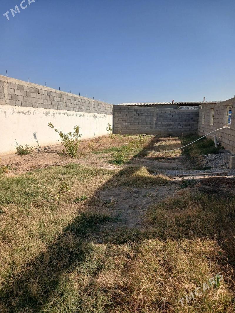 Limon sitil - Gökdepe - img 2