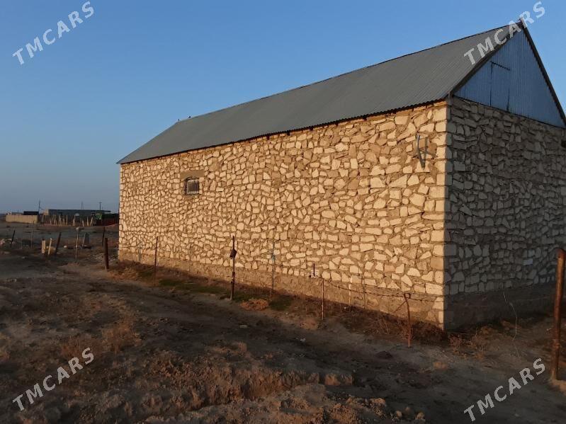 Arbita daça - Balkanabat - img 2