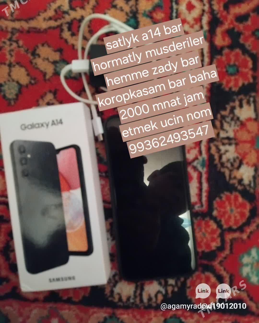 a14 - Дашогуз - img 5