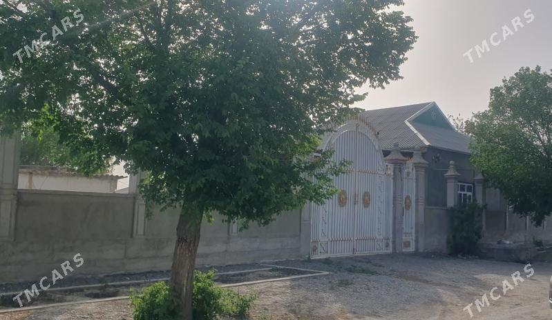 Jay mellek - Гёкдепе - img 2