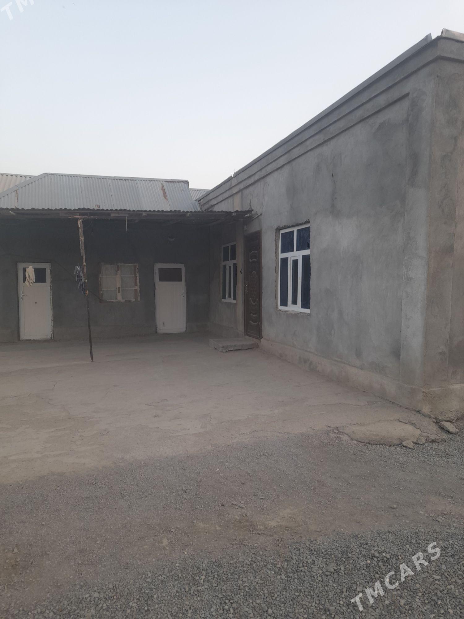 jaý - Bäherden - img 4