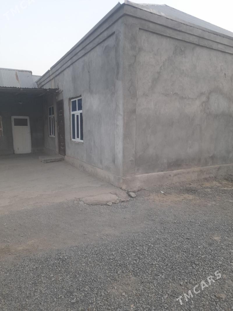 jaý - Bäherden - img 3