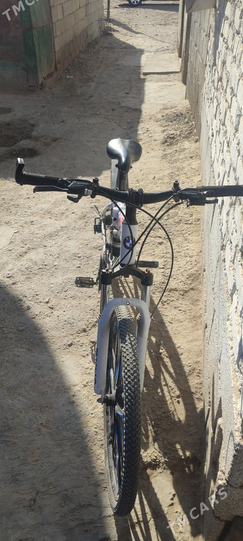 tigir - Анев - img 4