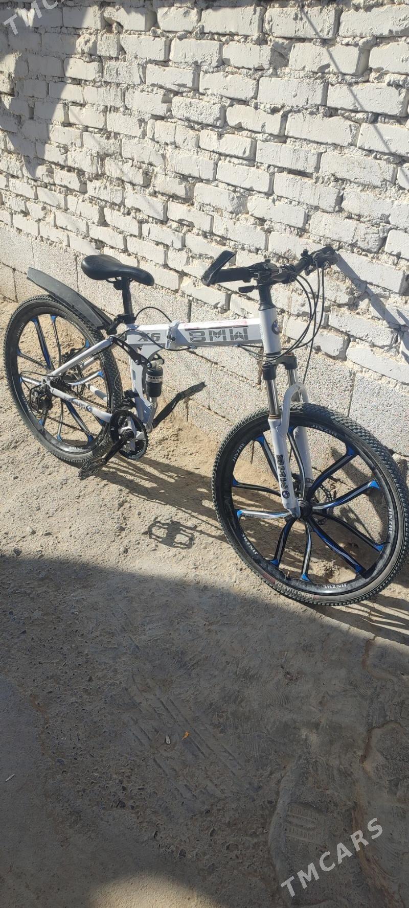 tigir - Анев - img 1