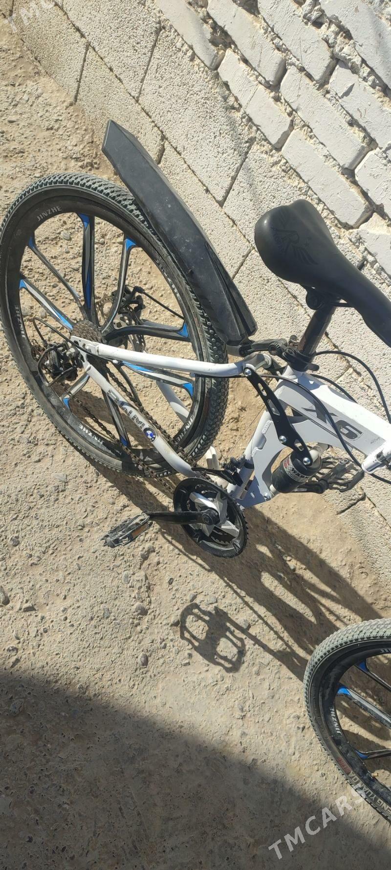 tigir - Анев - img 3