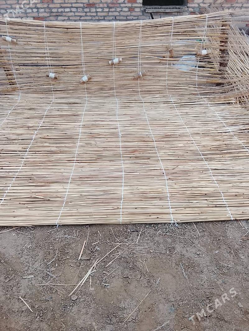 Gamyş - Mary - img 6