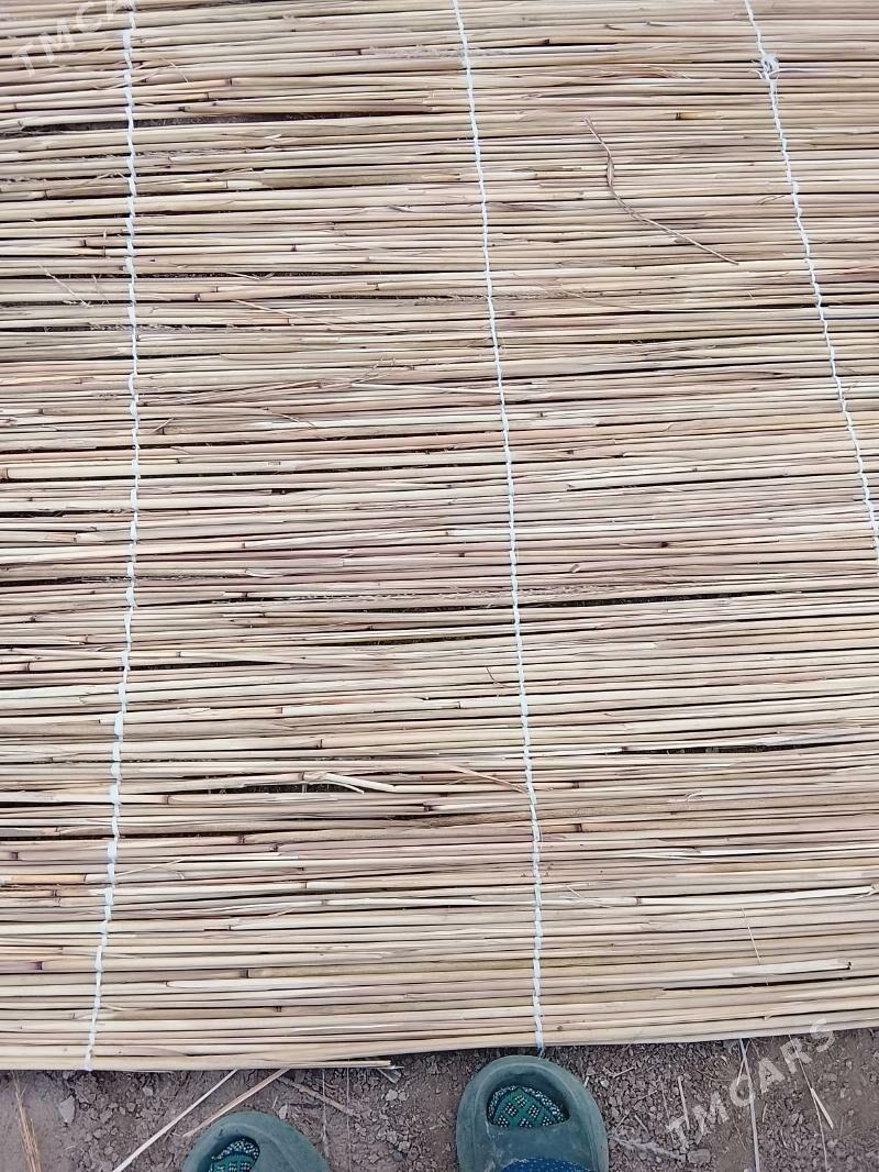 Gamyş - Mary - img 5