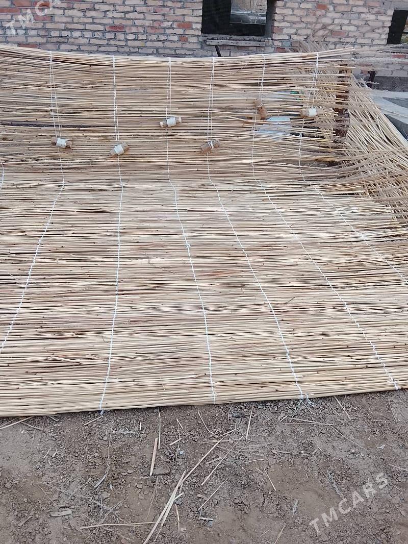 Gamyş - Mary - img 7