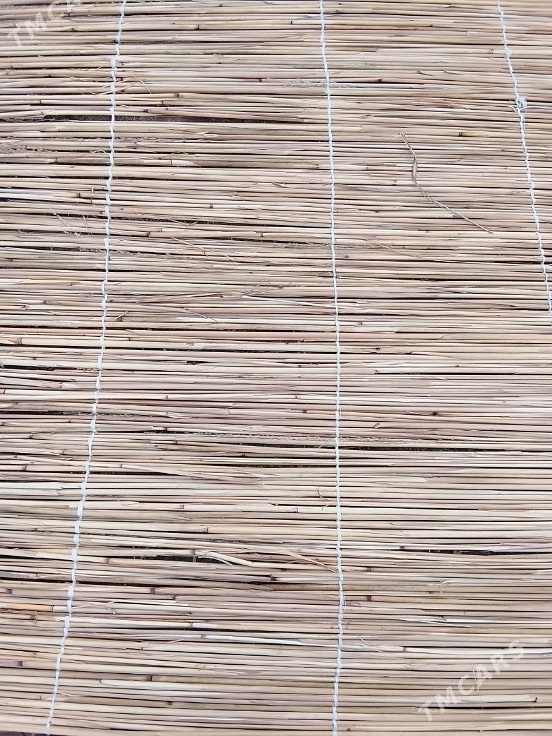 Gamyş - Mary - img 3