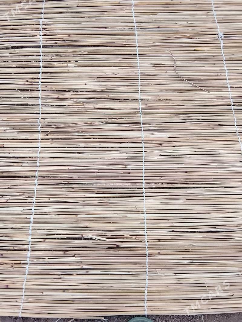 Gamyş - Mary - img 4