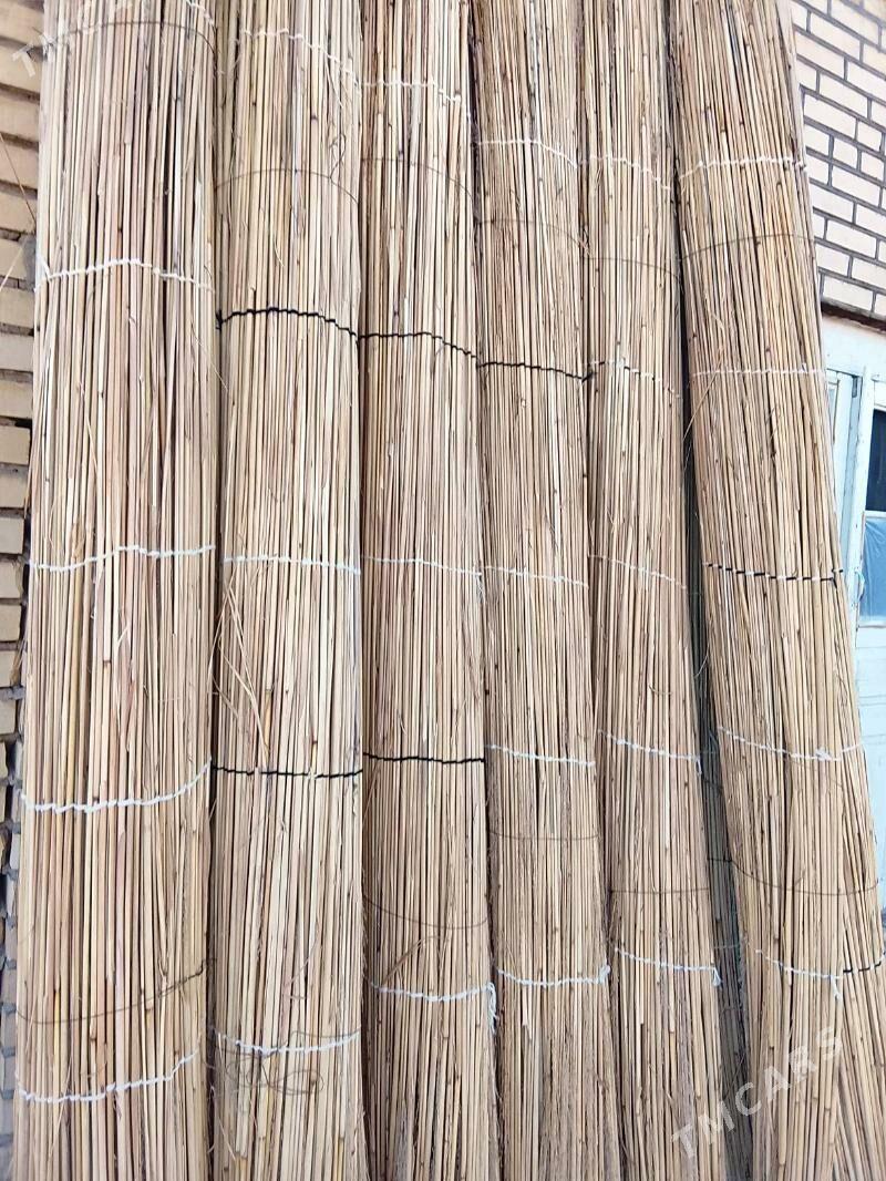 Gamyş - Mary - img 2