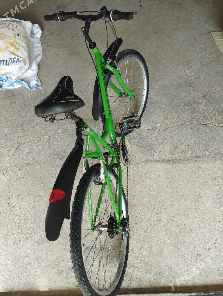 ŵelik tigir  - Balkanabat - img 3