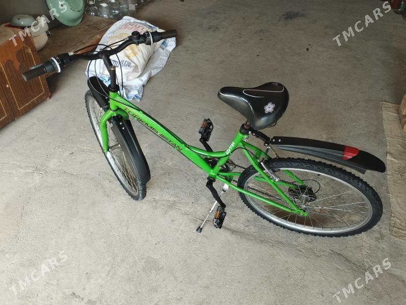 ŵelik tigir  - Balkanabat - img 4