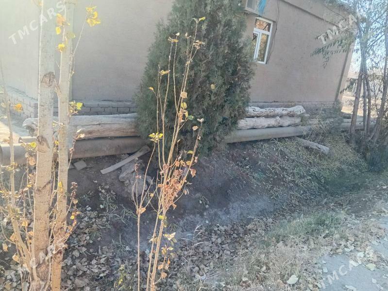 Turba - Гороглы (Тагта) - img 6