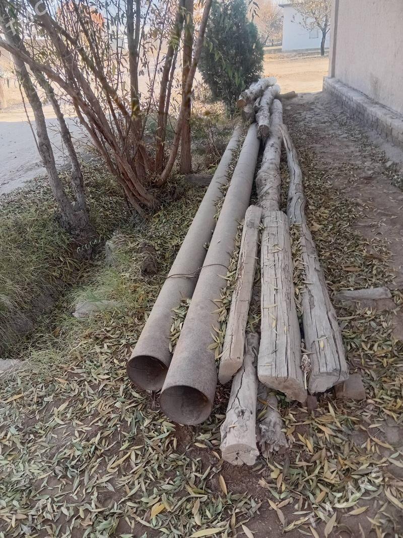 Turba - Гороглы (Тагта) - img 4