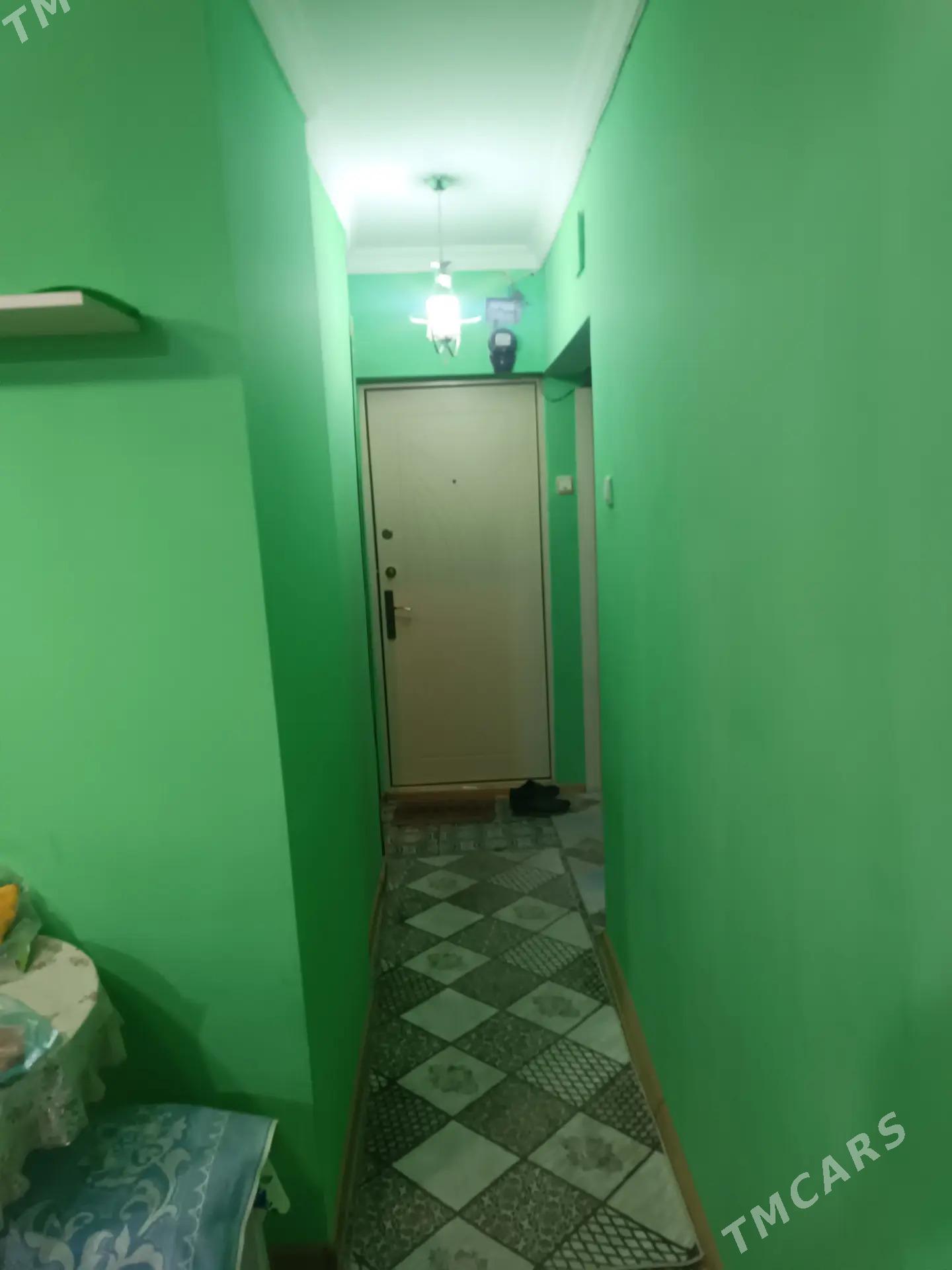 Satlyk jay - Mary - img 5