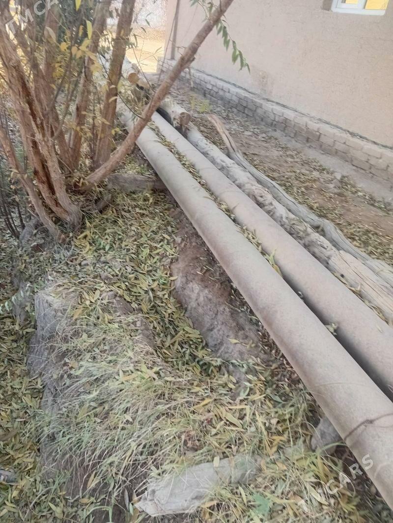 Turba - Гороглы (Тагта) - img 3