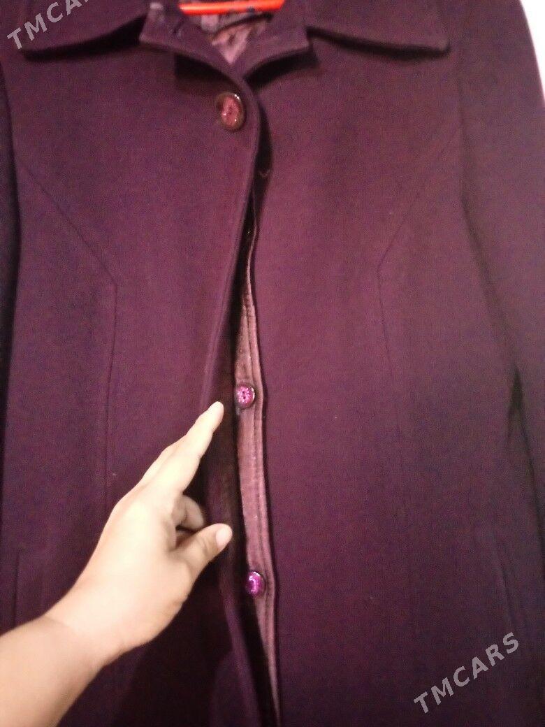 palto gyşky - Murgap - img 2