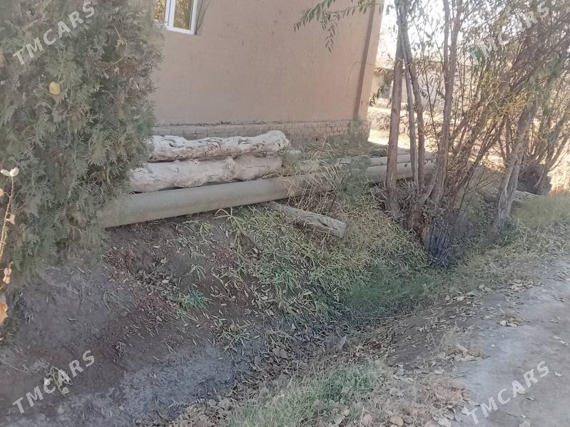 Turba - Гороглы (Тагта) - img 5